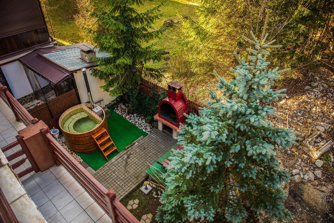 Casa Maia Ξενοδοχείο Buşteni Εξωτερικό φωτογραφία