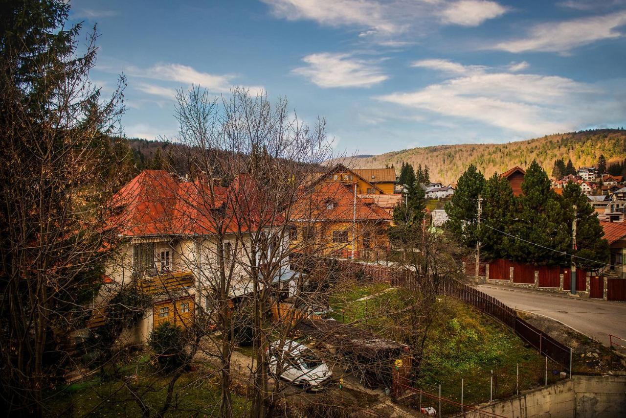 Casa Maia Ξενοδοχείο Buşteni Εξωτερικό φωτογραφία