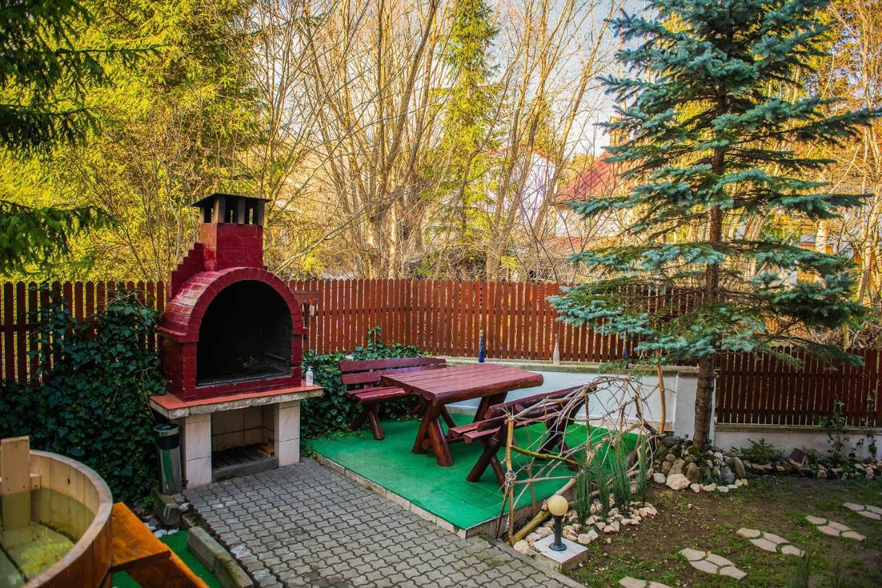 Casa Maia Ξενοδοχείο Buşteni Εξωτερικό φωτογραφία