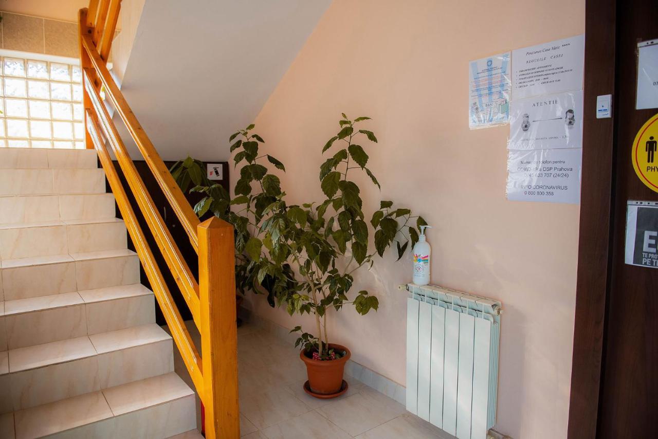 Casa Maia Ξενοδοχείο Buşteni Εξωτερικό φωτογραφία